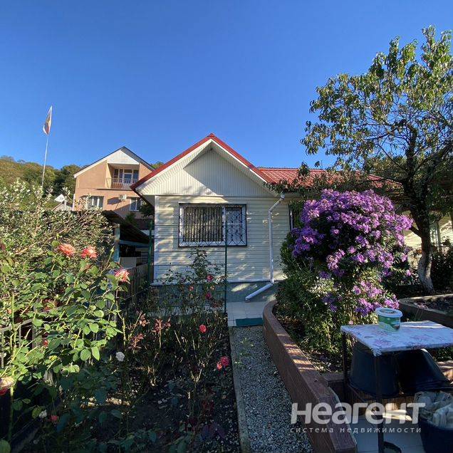 Фотография №2