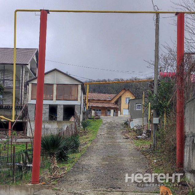 Фотография №2