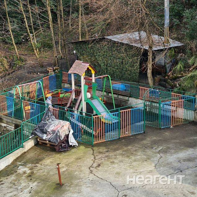 Фотография №4