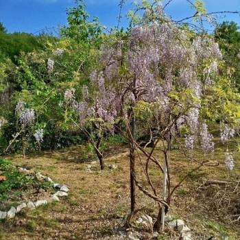 Продается Дом, 94 м²