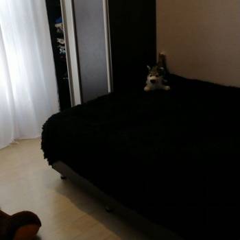 Продается Дом, 117 м²