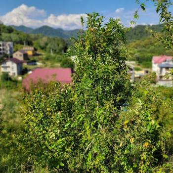 Продается Участок, 640 м²