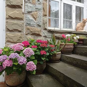 Продается Дом, 134 м²