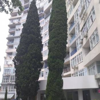 Продается 2-х комнатная квартира, 50 м²