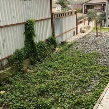 Продается 1-комнатная квартира, 24,3 м²