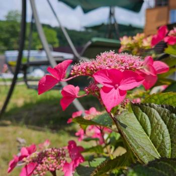 Сдается Посуточно, 125 м²