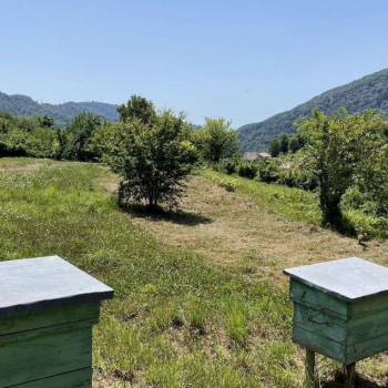 Продается Участок, 3600 м²