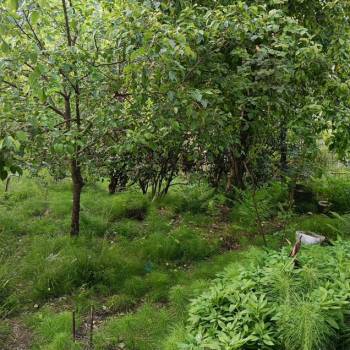 Продается Дом, 100 м²