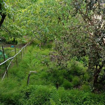 Продается Дом, 100 м²