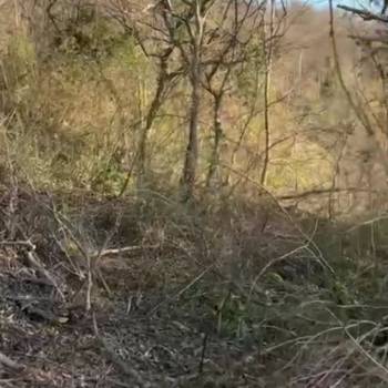 Продается Участок, 600 м²