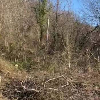 Продается Участок, 600 м²