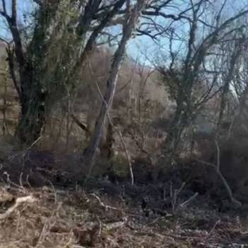 Продается Участок, 600 м²