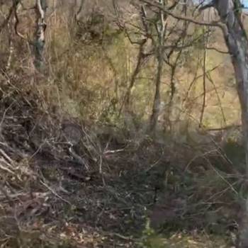 Продается Участок, 600 м²