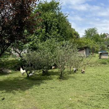 Продается Участок, 1240 м²