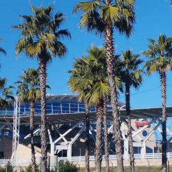 Продается Участок, 630 м²