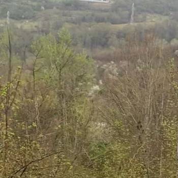 Продается Участок, 500 м²