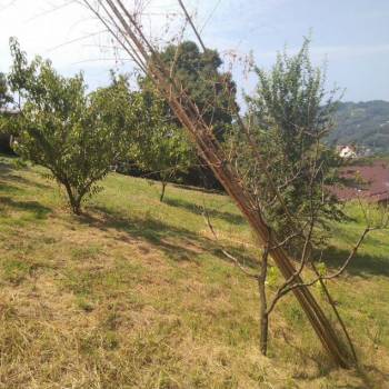 Продается Участок, 550 м²