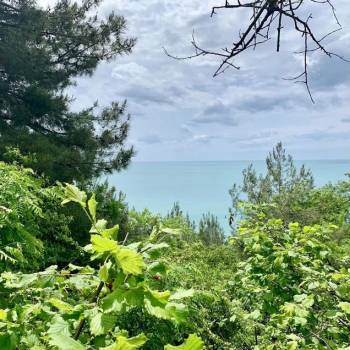 Продается Участок, 470 м²