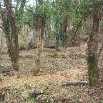 Продается Участок, 500 м²