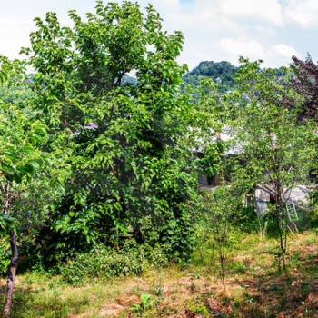 Продается Дом, 110 м²