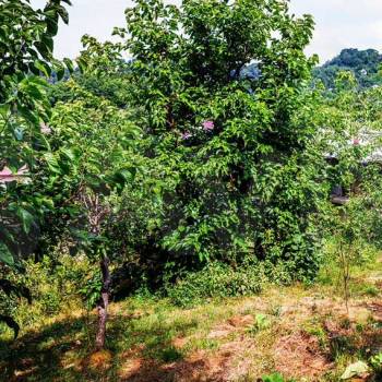 Продается Дом, 110 м²