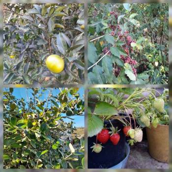 Продается Участок, 400 м²