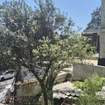 Продается Участок, 450 м²