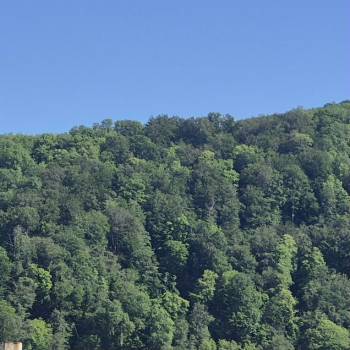 Продается Участок, 450 м²