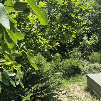 Продается Участок, 450 м²