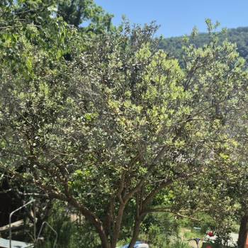 Продается Участок, 450 м²