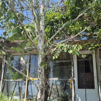 Продается Участок, 450 м²