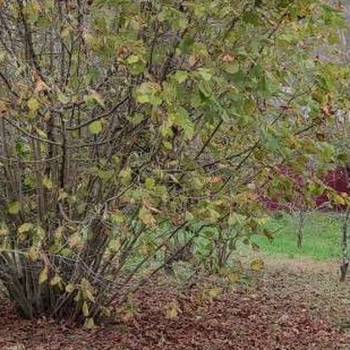 Продается Участок, 750 м²