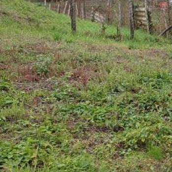 Продается Участок, 750 м²