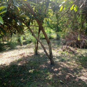 Продается Участок, 540 м²