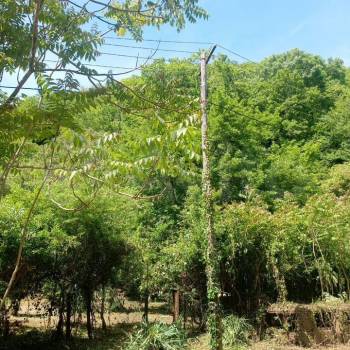 Продается Участок, 540 м²