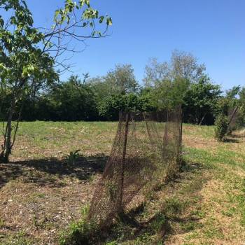 Продается Участок, 520 м²