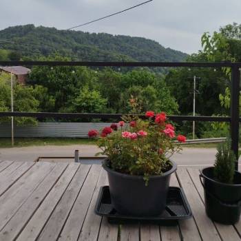 Продается Дом, 30 м²