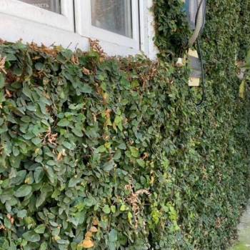 Продается Участок, 1370 м²