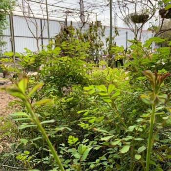 Продается Участок, 1370 м²