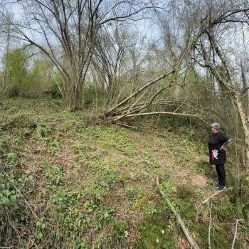 Продается Участок, 500 м²