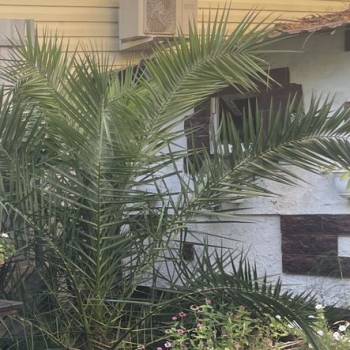 Продается Дом, 120 м²