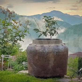 Сдается Дом, 176 м²