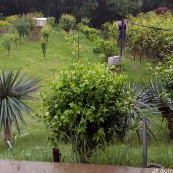 Продается Участок, 1500 м²