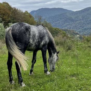 Продается Участок, 1600 м²