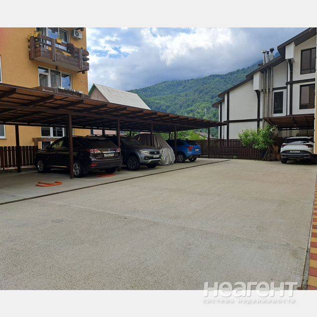 Фотография №4