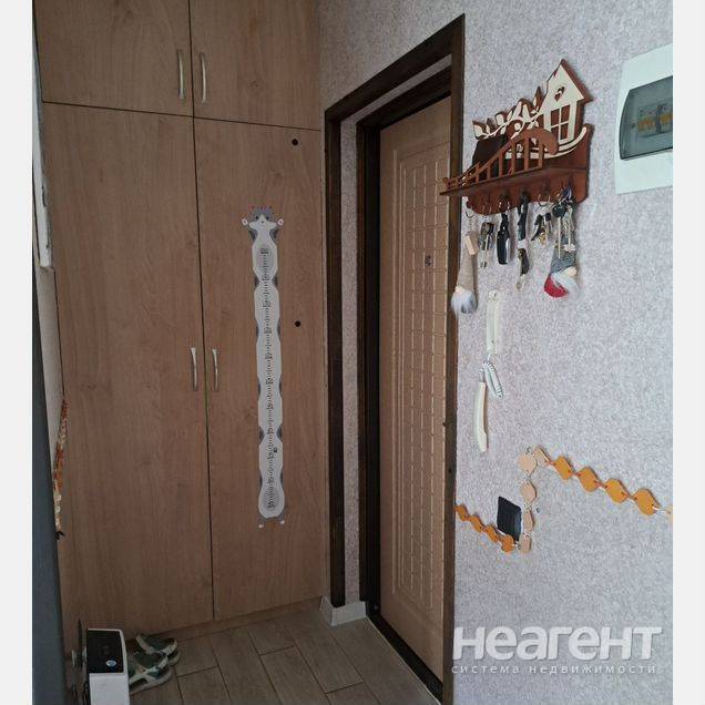 Фотография №5