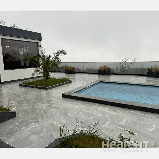 Фотография №2