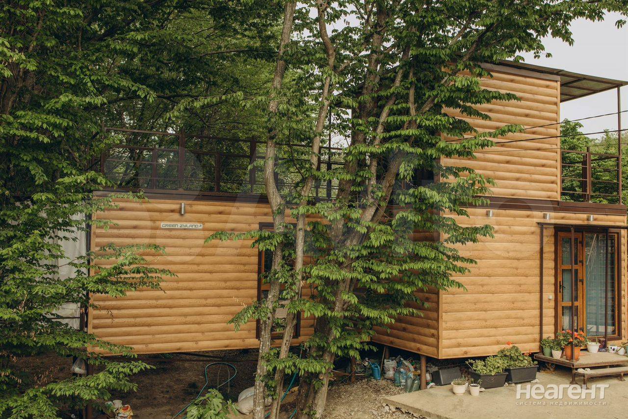 Фотография №2