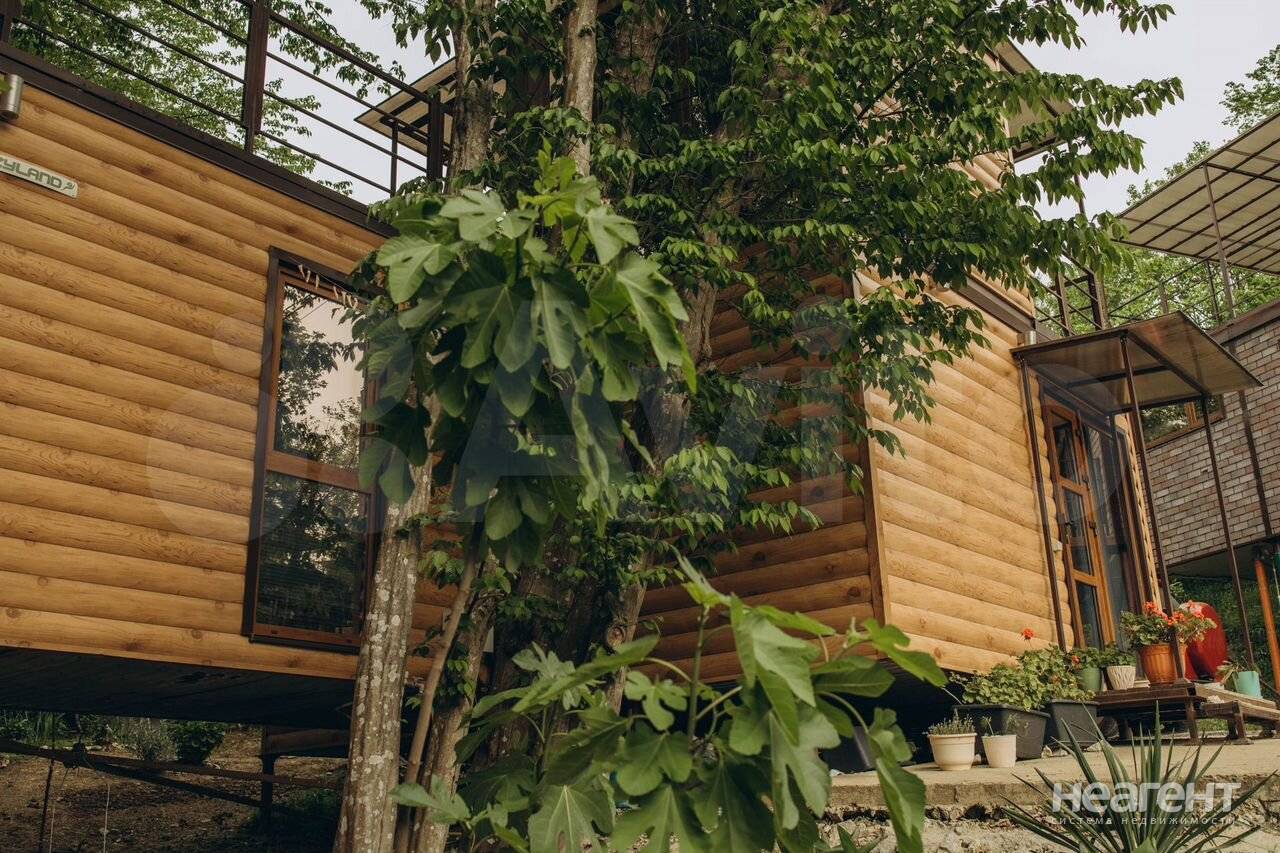 Фотография №3