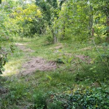 Продается Дом, 57 м²